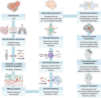 SARS-CoV-2, Trait Anxiety, and the Microbiome